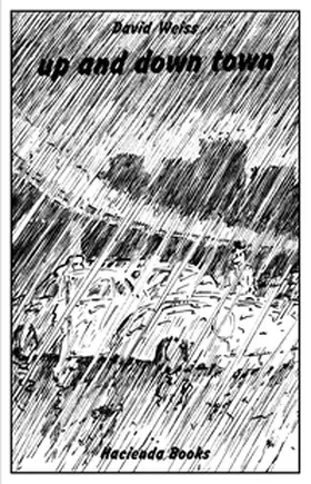  David Weiss - up and down town / Regenbüchlein | Buch |  Sack Fachmedien