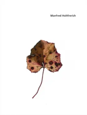  Manfred Holtfrerich. Blätter 237 - 342 | Buch |  Sack Fachmedien