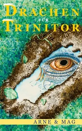 Lehmann |  Drachen für Trinitor | Buch |  Sack Fachmedien