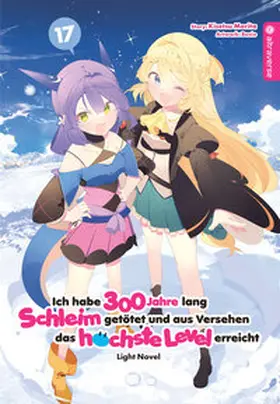 Morita / Benio |  Ich habe 300 Jahre lang Schleim getötet und aus Versehen das höchste Level erreicht Light Novel 17 | Buch |  Sack Fachmedien