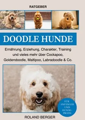 Berger |  Doodle Hunde | Buch |  Sack Fachmedien