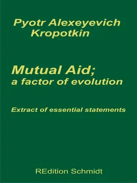 Kropotkin / Schmidt |  Mutual aid; a factor of evolution | eBook | Sack Fachmedien