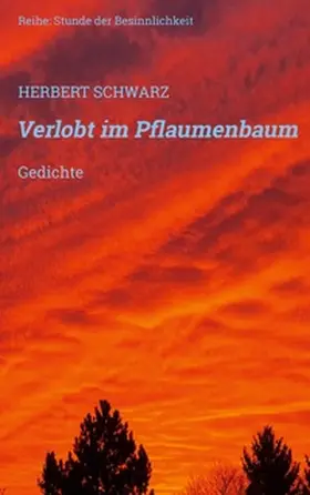 Schwarz |  Verlobt im Pflaumenbaum | Buch |  Sack Fachmedien