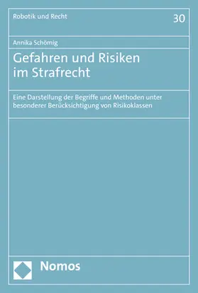 Schömig |  Gefahren und Risiken im Strafrecht | Buch |  Sack Fachmedien