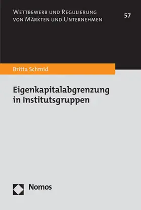 Schmid | Eigenkapitalabgrenzung in Institutsgruppen | Buch | 978-3-7560-0609-0 | www2.sack.de
