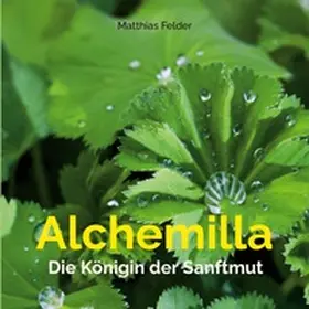 Felder |  Alchemilla | Buch |  Sack Fachmedien