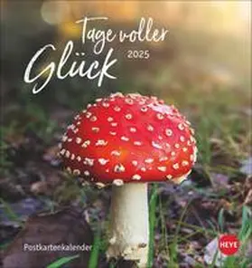 Tage voller Glück Postkartenkalender 2025 | Sonstiges | 978-3-7564-0692-0 | www2.sack.de