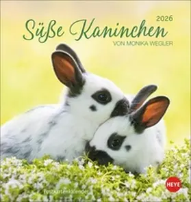  Süße Kaninchen Postkartenkalender 2026 | Sonstiges |  Sack Fachmedien