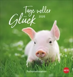 Heye |  Tage voller Glück Postkartenkalender 2026 | Sonstiges |  Sack Fachmedien