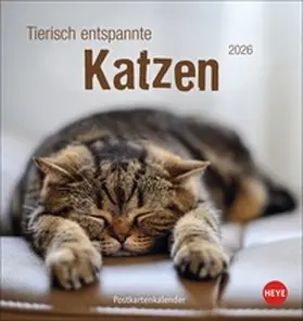 Heye |  Tierisch entspannte Katzen Postkartenkalender 2026 | Sonstiges |  Sack Fachmedien