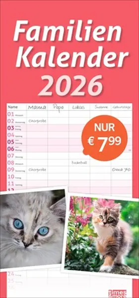 Heye |  times&more Katzen Familienplaner 2026 | Sonstiges |  Sack Fachmedien