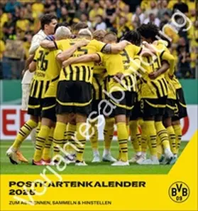Heye |  BVB Postkartenkalender 2026 | Sonstiges |  Sack Fachmedien