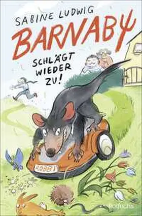 Ludwig |  Barnaby schlägt wieder zu! | Buch |  Sack Fachmedien