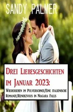 Palmer |  Drei Liebesgeschichten im Januar 2023:Wiedersehen im Pulverschnee/Eine italienische Romanze/Rendezvous in Niagara Falls | eBook | Sack Fachmedien