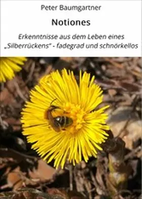 Baumgartner |  Notiones | eBook | Sack Fachmedien