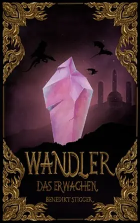 Stigger |  Wandler - Das Erwachen | Buch |  Sack Fachmedien