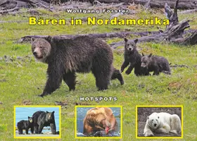 Förster |  Bären in Nordamerika | eBook | Sack Fachmedien