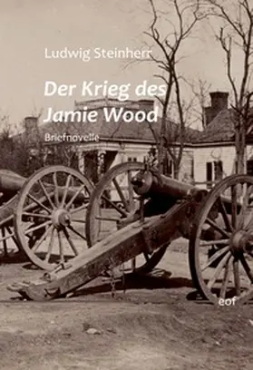 Steinherr |  Der Krieg des Jamie Wood | Buch |  Sack Fachmedien