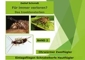 Schmidt |  Für immer verloren? | Buch |  Sack Fachmedien