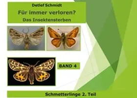 Schmidt |  Für immer verloren? | Buch |  Sack Fachmedien