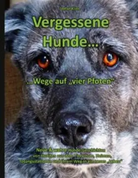 Klink |  Vergessene Hunde | eBook | Sack Fachmedien