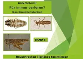 Schmidt |  Für immer verloren? Band 6 | eBook | Sack Fachmedien