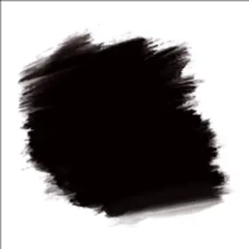 Lang |  Luzia die Leuchtende | Buch |  Sack Fachmedien