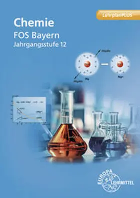 Huber / Wirth / Rudel |  Chemie FOS Bayern – Jgst. 12 | Buch |  Sack Fachmedien