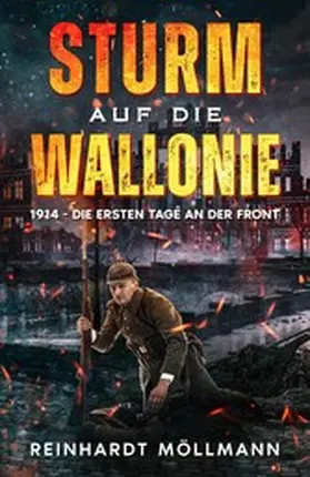 Möllmann |  Sturm auf die Wallonie | eBook | Sack Fachmedien