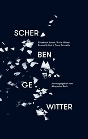 Adam / Kühnel / Schick |  Scherbengewitter | eBook | Sack Fachmedien