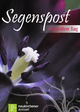 Rauhut |  Segenspost für jeden Tag | Buch |  Sack Fachmedien