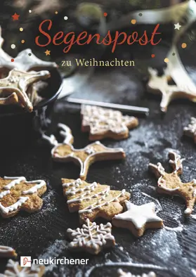 Schubert |  Segenspost zu Weihnachten | Buch |  Sack Fachmedien