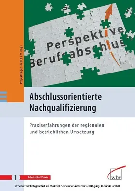 Alter / Projektträger im Deutschen Zentrum f Luft- u Raumfahrt eV / Hanke |  Abschlussorientierte Nachqualifizierung | eBook | Sack Fachmedien