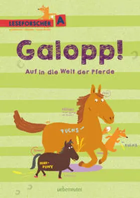 Köller |  Galopp! Auf in die Welt der Pferde | Buch |  Sack Fachmedien