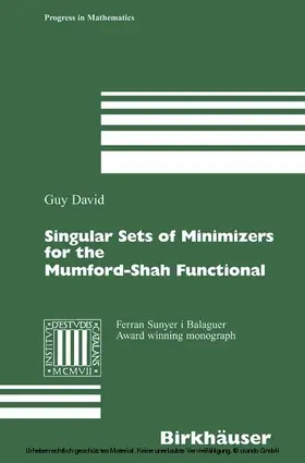 David |  Singular Sets of Minimizers for the Mumford-Shah Functional | eBook | Sack Fachmedien