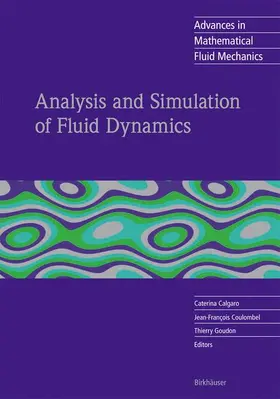 Calgaro / Goudon / Coulombel |  Analysis and Simulation of Fluid Dynamics | Buch |  Sack Fachmedien