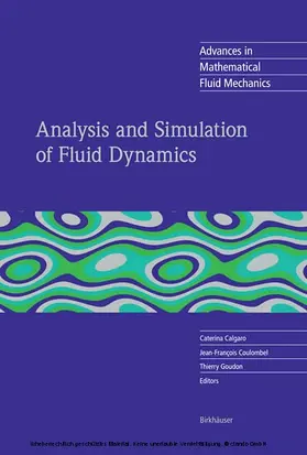 Calgaro / Coulombel / Goudon |  Analysis and Simulation of Fluid Dynamics | eBook | Sack Fachmedien