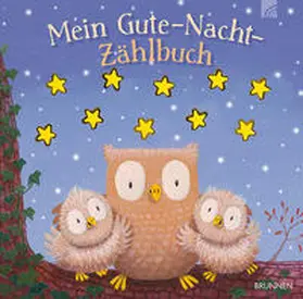  Mein Gute-Nacht-Zählbuch | Buch |  Sack Fachmedien