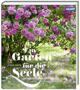 Oswald |  Ein Garten für die Seele | Buch |  Sack Fachmedien