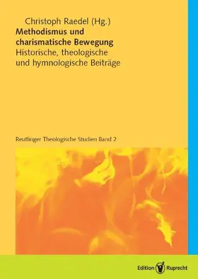 Raedel |  Methodismus und charismatische Bewegung | Buch |  Sack Fachmedien