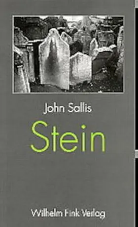 Sallis |  Stein | Buch |  Sack Fachmedien