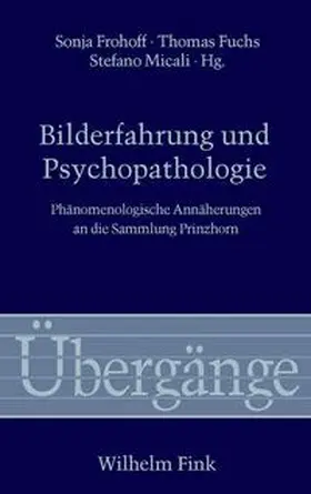 Fuchs / Micali / Frohoff |  Bilderfahrung und Psychopathologie | Buch |  Sack Fachmedien