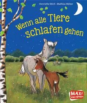 Wich |  Wenn alle Tiere schlafen gehen | Buch |  Sack Fachmedien