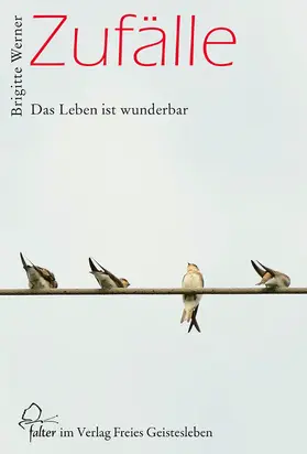 Werner |  Zufälle | eBook | Sack Fachmedien