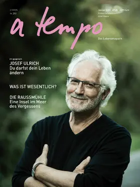 Lin |  a tempo - Das Lebensmagazin | eBook | Sack Fachmedien