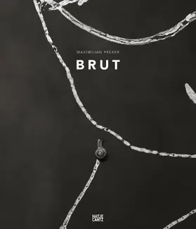  Maximilian Prüfer | Buch |  Sack Fachmedien