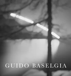 Haldemann | Guido Baselgia | Buch | 978-3-7757-5650-1 | sack.de