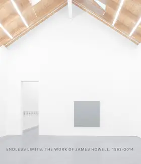 Rosenfeld / Halloran / Hutchinson |  Endless Limits: The Work of James Howell, 1962-2014 | Buch |  Sack Fachmedien