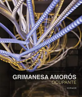 Reifenscheid |  Grimanesa Amorós. Ocupante | Buch |  Sack Fachmedien