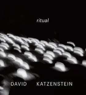  David Katzenstein | Buch |  Sack Fachmedien